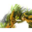 Couronne en polyester 20 po