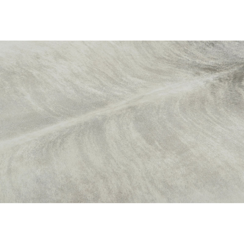 Modern Area Rug