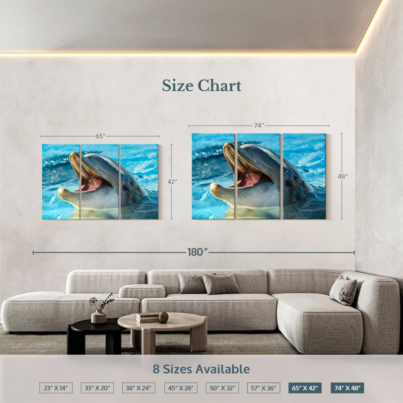 Brampt Smiling Playful Dolphin, 42" H x 65" W