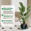 Pot Planter-292598211-292598213