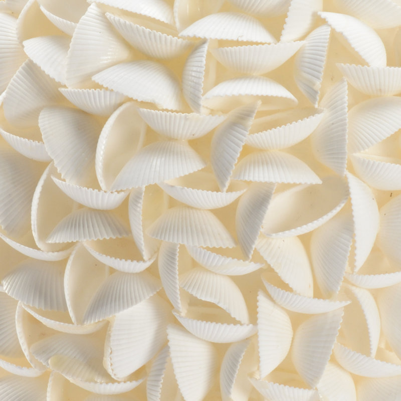 Handmade Shell Jar