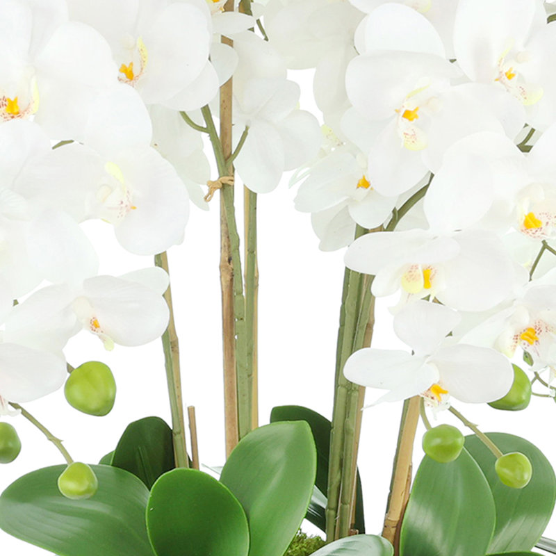 Orchid Arrangement in Metal Pedestal Vase
