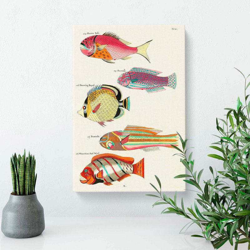 East Indies Fish Illustrations Fol. 21 by Louis Renard - Wrapped Canvas, 76cm H x 50cm W x 3cm D