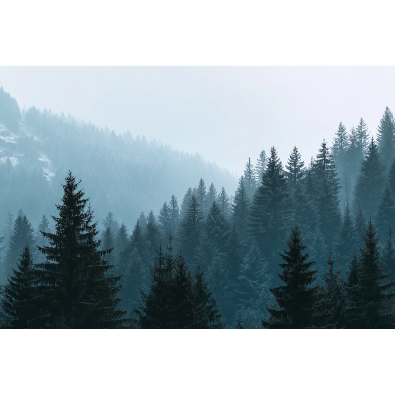 Art mural sur toile Misty Evergreen Hills, 24 po x 36 po