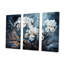 Iris in Stormy Gray Tones Expession - ensemble d'art mural sur toile Iris-107743756-107743758