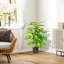 95cm Faux Evergreen Plant in Pot-196501990