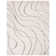 Ashal Abstract Indoor Rug