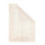 Wool Area Rug in Ivory
