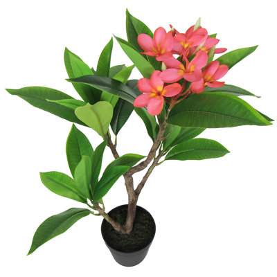 Plumeria artificiel 27 po en pot