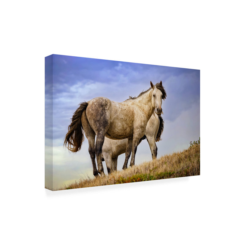 Art mural sur toile tendue - "Wild Horses" de Rick Berk pour décoration de salon, de chambre à coucher ou de bureau - 30 x 47