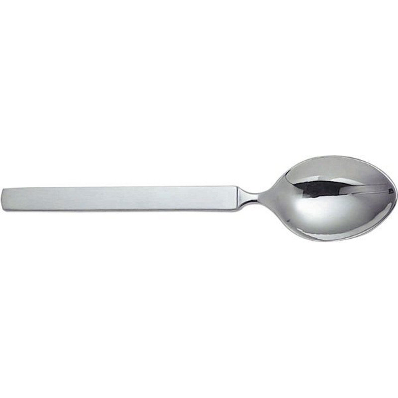 Dry Stainless Steel Teaspoon