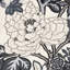 Chiang Mai Dragon Fabric-22437089