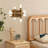 Bembry Modern Iron Flush Mount Wall Sconce with LED Lights and Remote-22370226