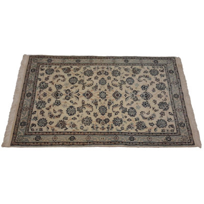 Plamedi Oriental Area Rug in Beige