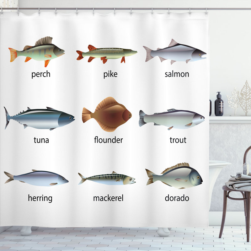 Rideau de douche simple group of fish décoration, H 69 po x l 70 po