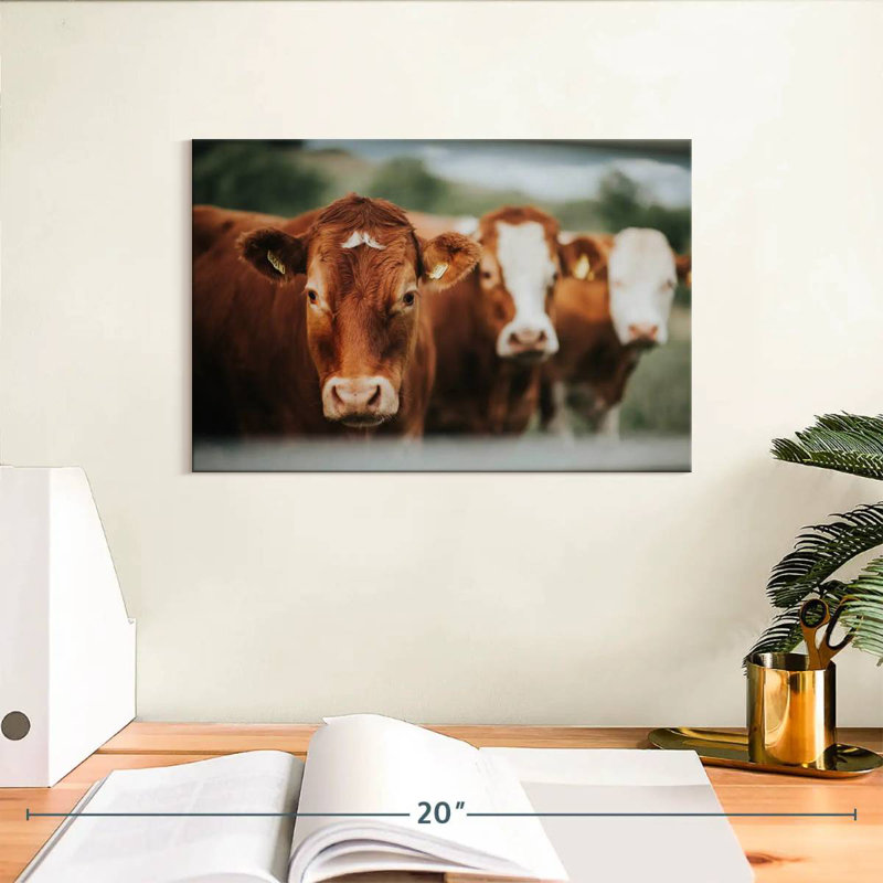 Brampt Brown Cattle, 8" H x 12" W