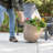 17.5" Kittredge With Wheels, Beige, 2-pack