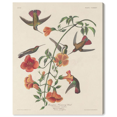 Humming Bird 1834, toile par Art Remedy
