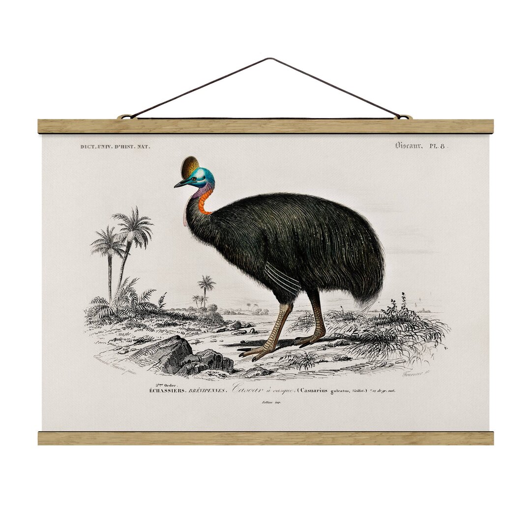 Stoffbild Vintage Educational Board Emu