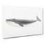 Blue Whale by C.M. Scammon - Wrapped Canvas-55304516