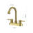 Centerset 2-handle Bathroom Faucet with Drain Assembly-70980520