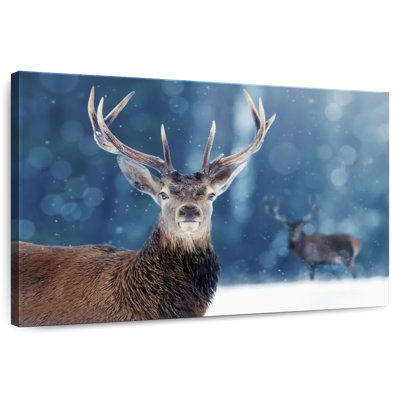 Brampt Male Noble Deer