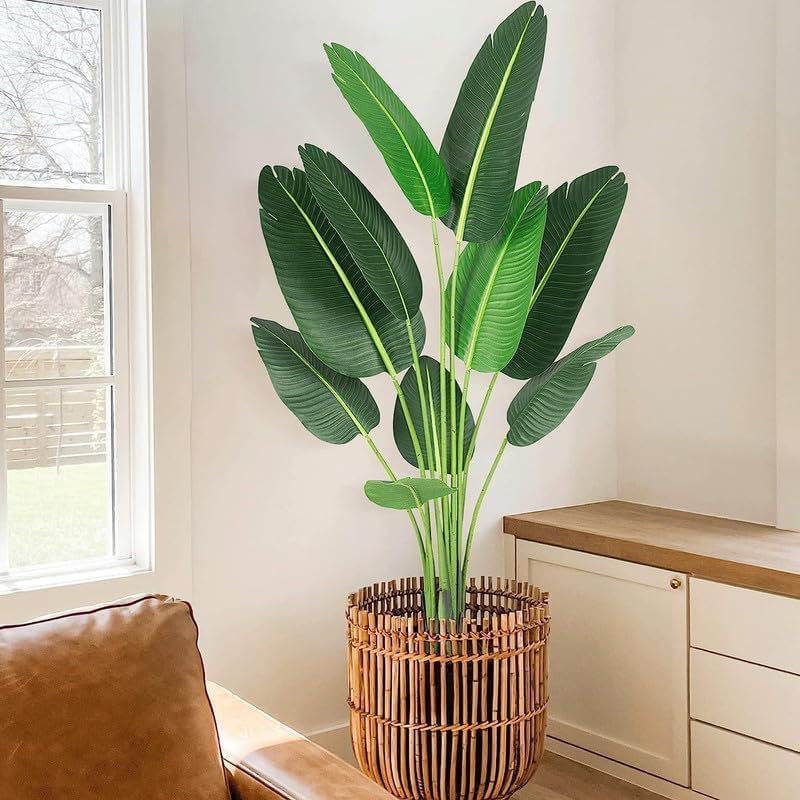 Plant, 216.1 cm x 60.04 cm