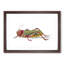 Granulated Locust by George Shaw - Framed Print-55620902-55620903
