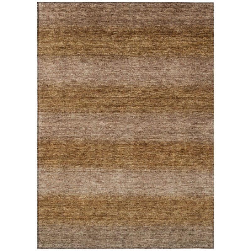 Machine Washable Indoor/Outdoor Xhevrie Brown Rug, Rectangle 3' x 5'