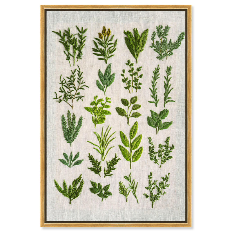 Tissu de fougère fougère I, impressions florales sur toile par , H 37 po x l 25 po, Cadre doré