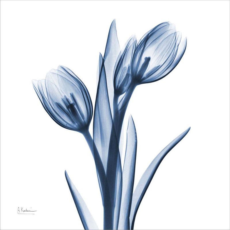 Traditional Plants & Flowers Wall Decor on Canvas