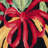 Encratis Hand Hooked Wool Pile Floral Rug in Black-14817371