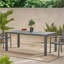 Table de salle à manger d'extérieur en verre trempé avec structure en aluminium, gris