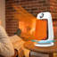 Ventilateur de bureau à température réglable kbndieu