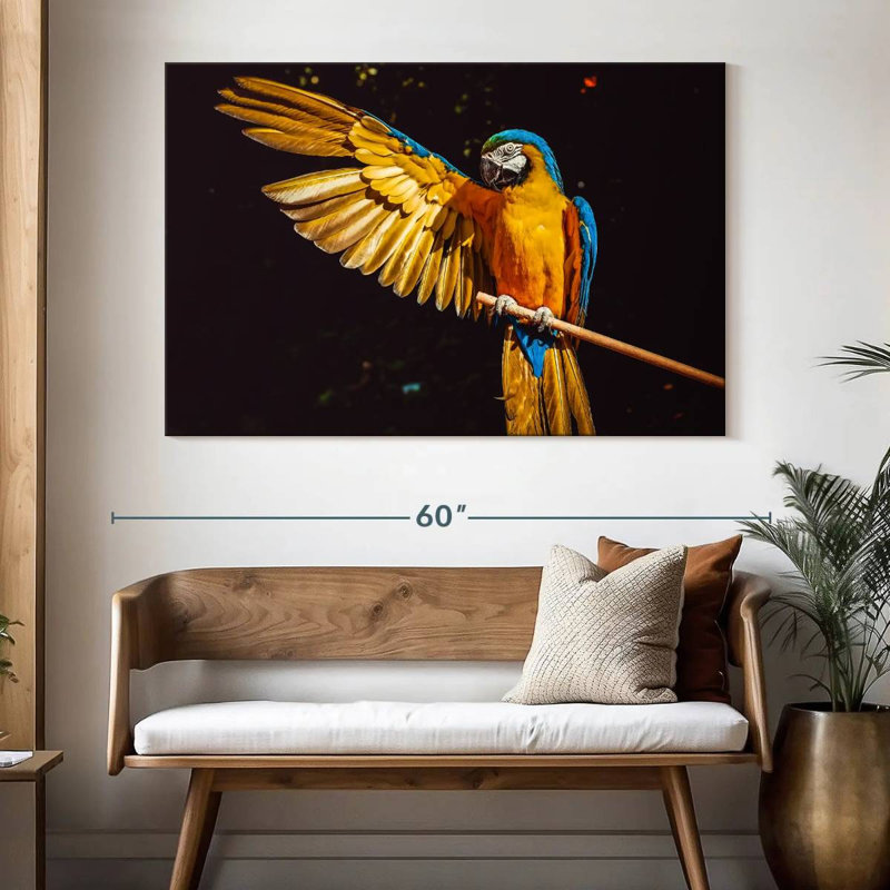 Brampt Blue Gold Macaw, 34" H x 51" W