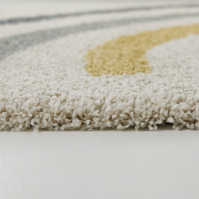 Aldiana Rainbow Shag Area Rug