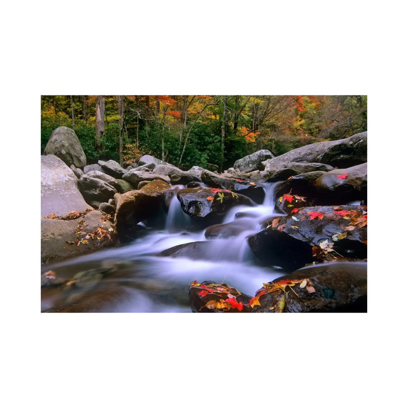 Little Pigeon River, Cascading Among Rocks And Fall Maple Leaves, Great Smoky Mountains National Park, Tennessee I by Tim Fitzharris - Wrapped Canvas Print