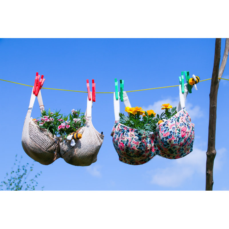 Plants Growing In The Bra by Helen Davies - Wrapped Canvas Print, 51cm H x 76cm W