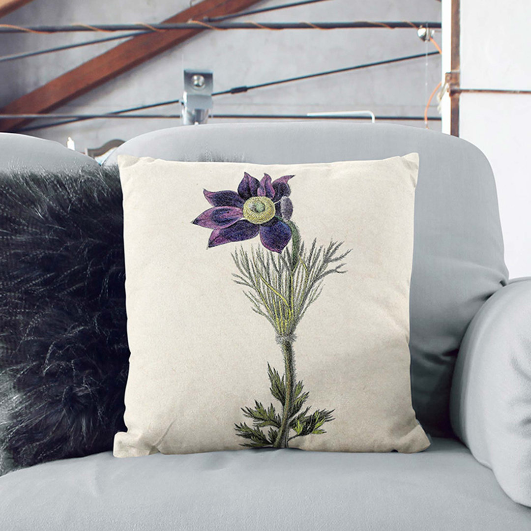 Illustration of a Pasqueflower Cushion with Filling