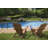 Jadam Outdoor Adirondack Chair-223328202