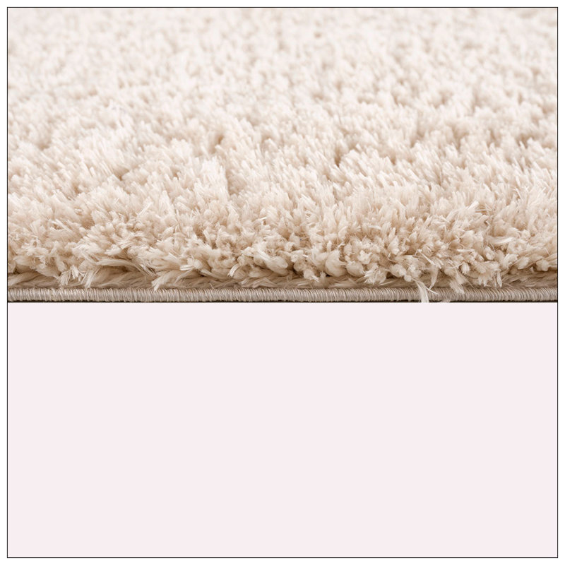 Super Soft Polyester Shag Area Rug, Rectangle 3'11" x 5'11"
