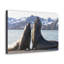 No Frame Print on Canvas-538652632