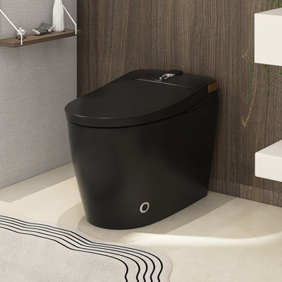 Toilette à bidet allongée 1,28 GPF avec réglages du pulvérisateur, désodorisation, fermeture en douceur