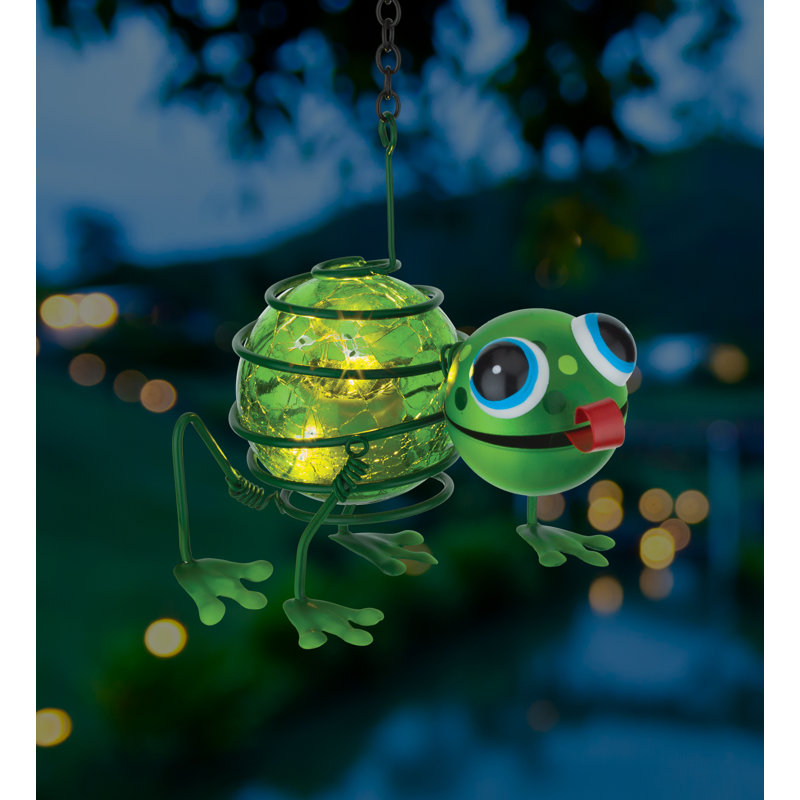 Mini lanterne solaire insecte - grenouille