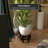 Rosewood Fishbowl Stand - Size 7.5 in. Base Diameter-710496955