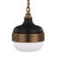 Taylor 1 - Light Unique/Statement Pendant-28213470