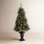 White Frosted Pre-Lit Cypress Christmas Tree