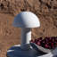 Lampe de table DEL à champignon portable 3 po Celia-1909183701