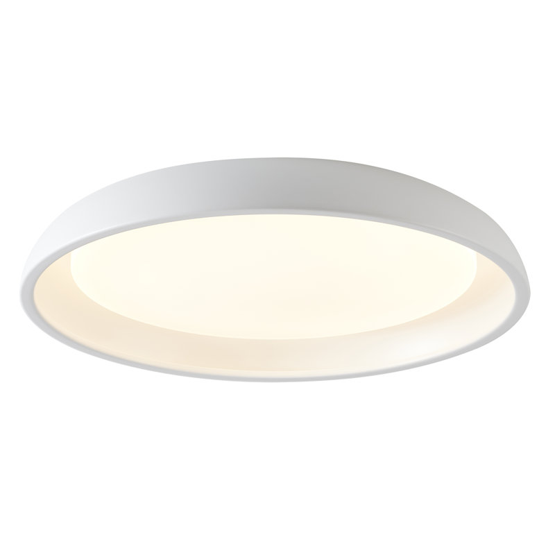 Modern LED Round Flush Mount