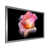 Silver Picture Frame